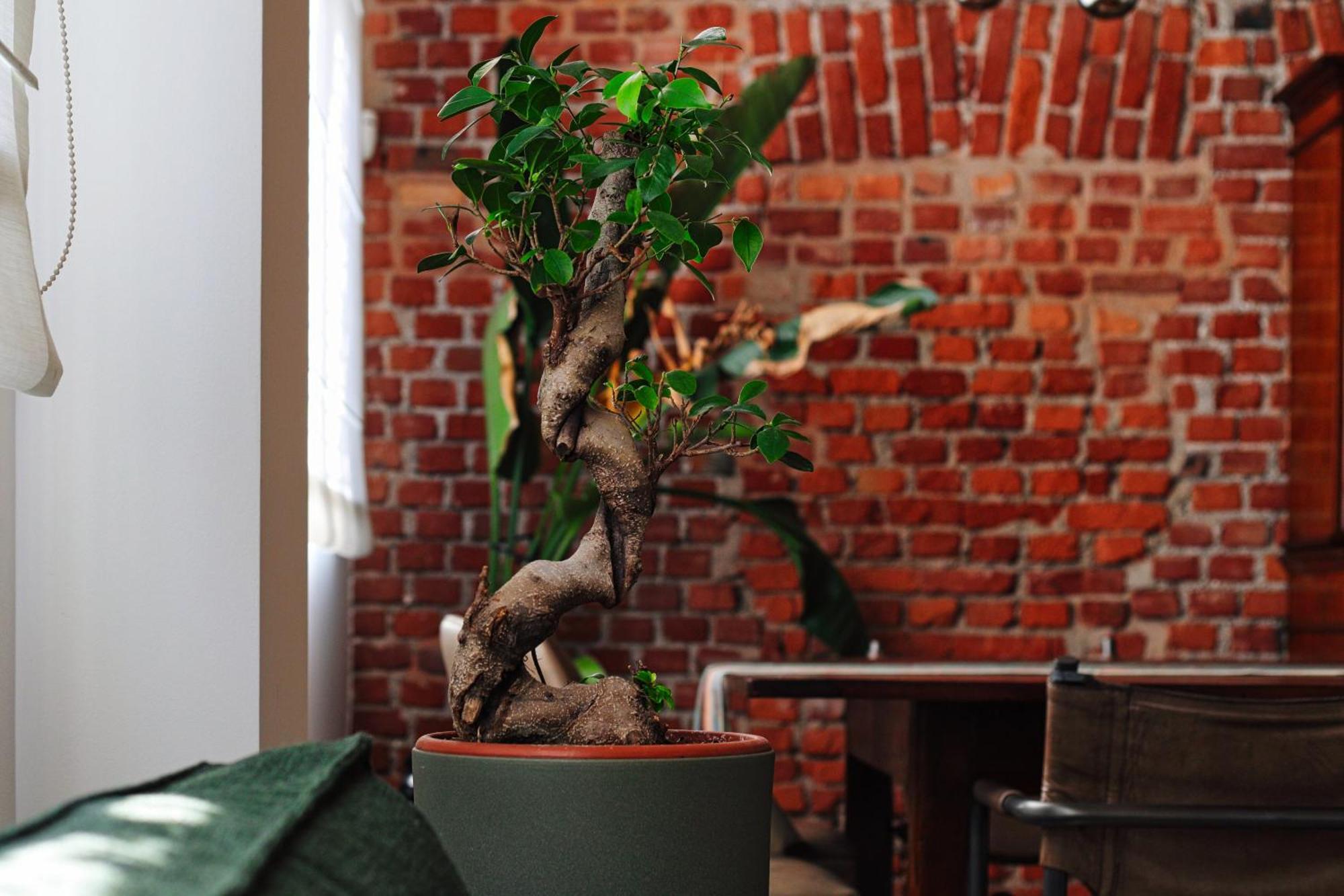Appartement Mpm- Luxury Loft Navigli Milan